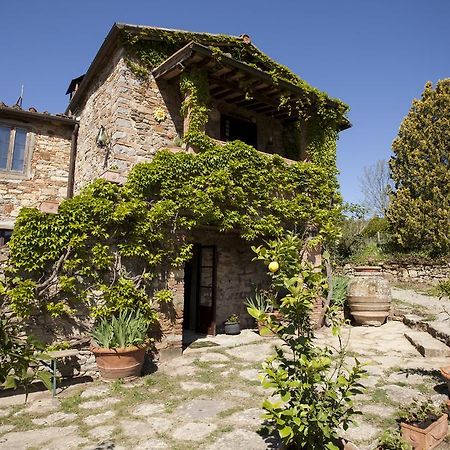 Podere Terreno Alla Via Della Volpaia Radda in Chianti Extérieur photo