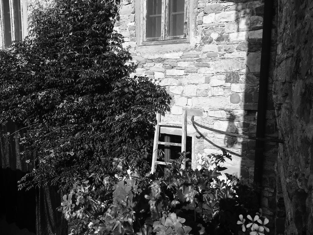 Podere Terreno Alla Via Della Volpaia Radda in Chianti Extérieur photo