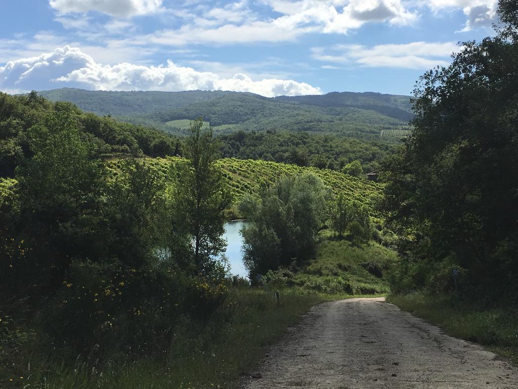 Podere Terreno Alla Via Della Volpaia Radda in Chianti Extérieur photo