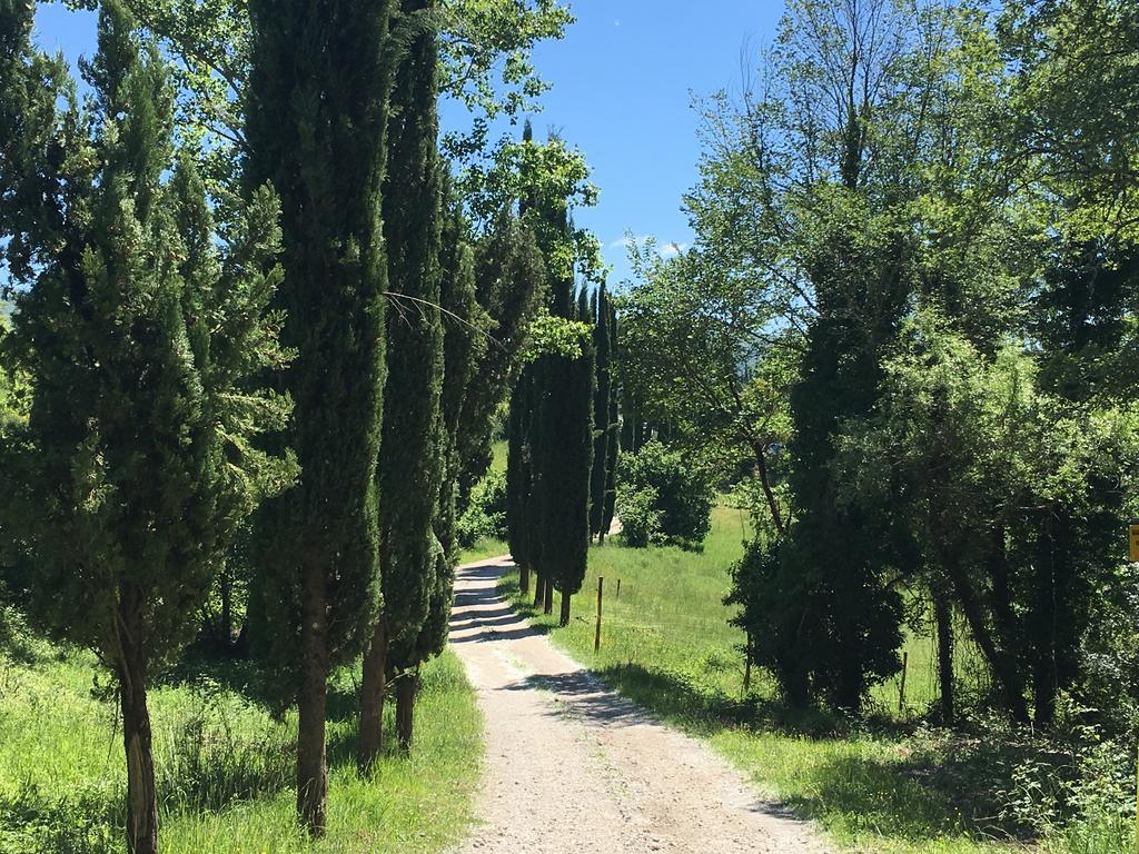 Podere Terreno Alla Via Della Volpaia Radda in Chianti Extérieur photo