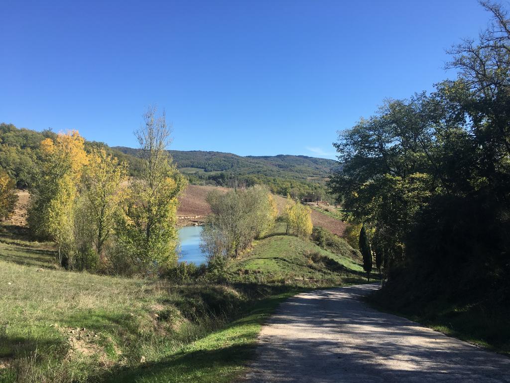 Podere Terreno Alla Via Della Volpaia Radda in Chianti Extérieur photo
